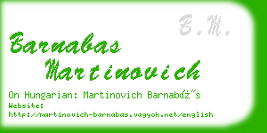 barnabas martinovich business card